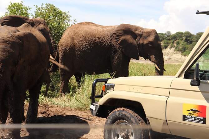 Ngorongoro Crater Day Trip - What the $325 price really covers