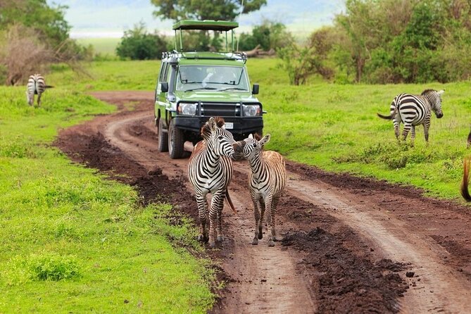 Ngorongoro Crater Day Trip - Who should book this day trip