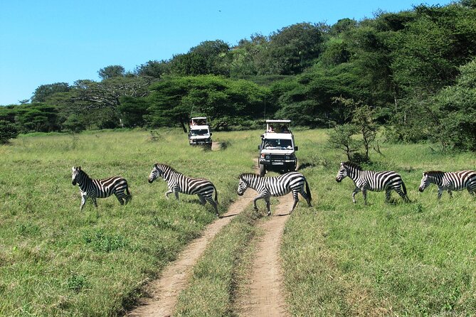 Ngorongoro Crater Day Trip – Shared Group Safari - Lake Magadi and the flamingo stop