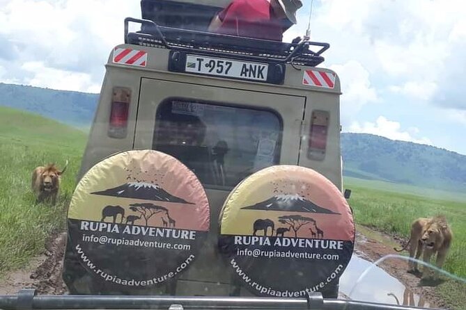 Ngorongoro Crater Day Trip - The early pickup and the road from Arusha