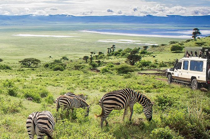 Ngorongoro Crater Exclusive: A Journey into Africa’s Eden - 2:00 p.m. afternoon wildlife viewing