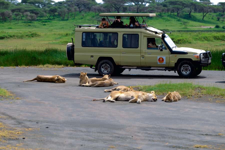 Ngorongoro Crater: Full-Day Safari Tour - The crater rim viewpoint sets the scene
