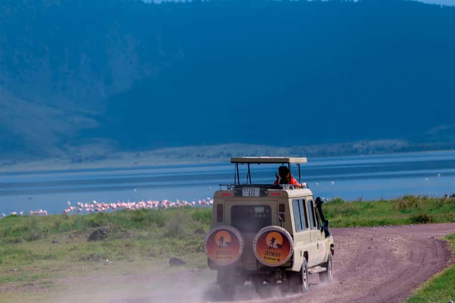 Ngorongoro Crater: Full-Day Safari Tour - Lunch, water, and the practical value of the price