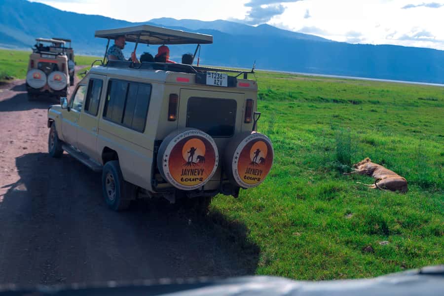 Ngorongoro Crater: Full-Day Safari Tour - What to bring and what not to do