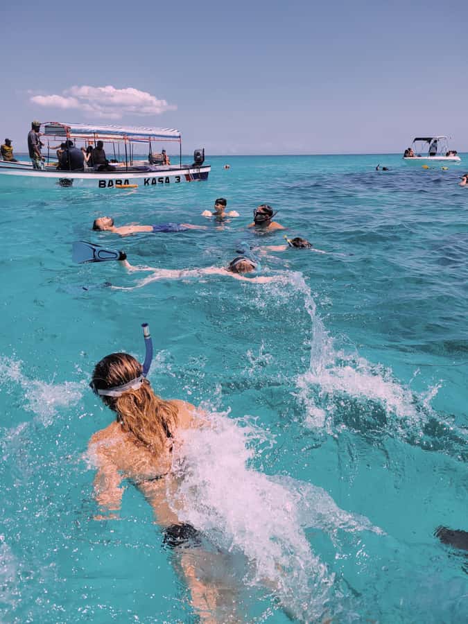 Nungwi: Dolphins,snokerlling &/or sunset cruising tour - Key points to know before booking