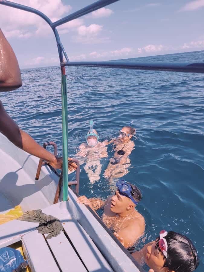 Nungwi: Dolphins,snokerlling &/or sunset cruising tour - Mnemba brings the clearest water and fish