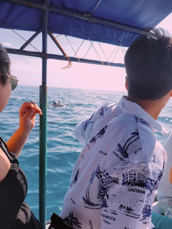 Nungwi: Dolphins,snokerlling &/or sunset cruising tour - Who will enjoy this tour most