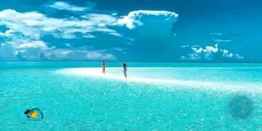 Nungwi: Mnemba Atoll Dolphins Tour with Snacks | Half-day - Snorkeling Mnemba Atoll’s coral reefs