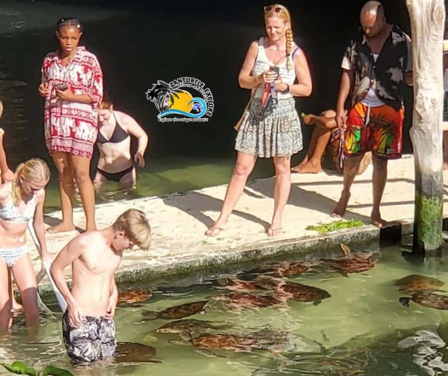 Nungwi: Swimming with Turtles at The Lagoons Zanzibar - Practical tips for a better visit