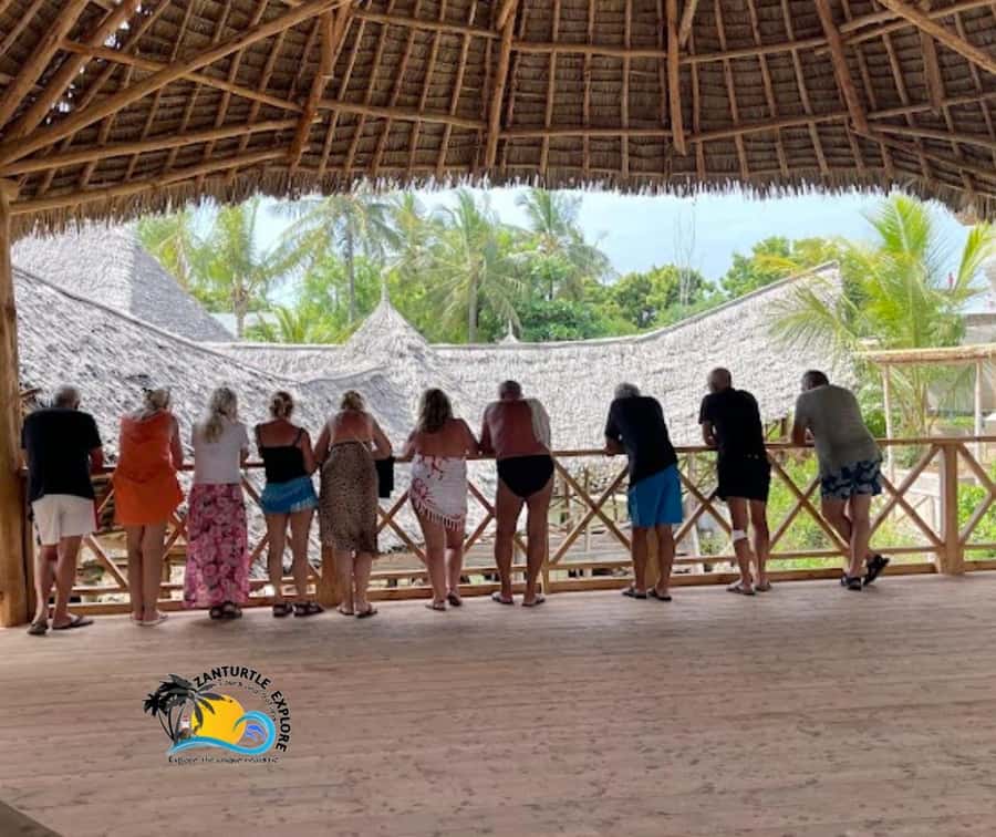 Nungwi: Swimming with Turtles at The Lagoons Zanzibar - What the conservation work adds