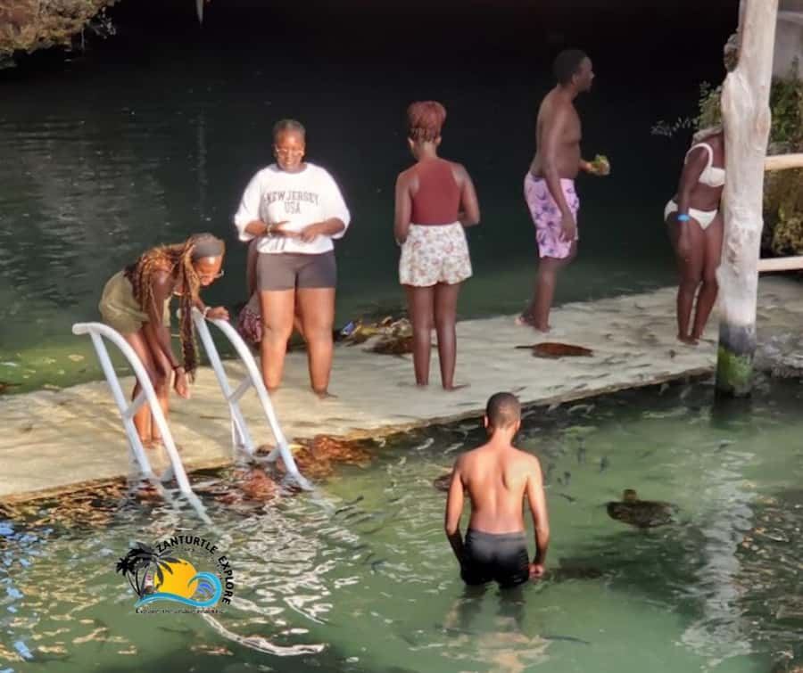 Nungwi: Swimming with Turtles at The Lagoons Zanzibar - How the private format changes the visit