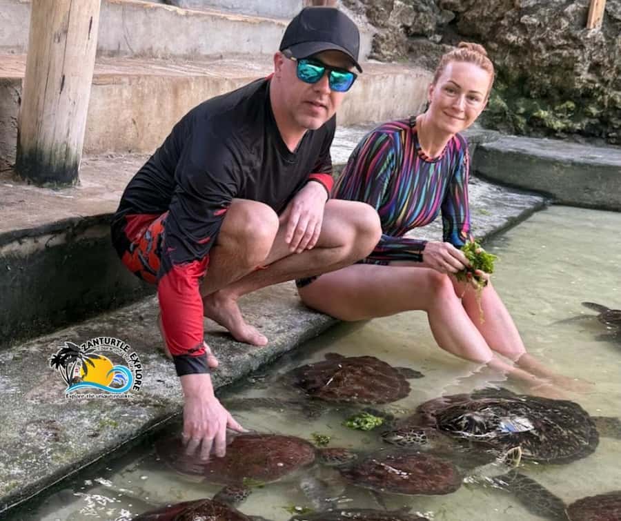 Nungwi: Swimming with Turtles at The Lagoons Zanzibar - Is $43 a fair price?