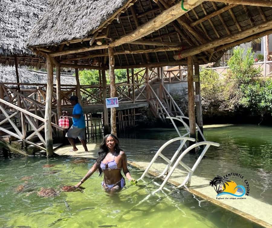 Nungwi: Swimming with Turtles at The Lagoons Zanzibar - Who will enjoy this most