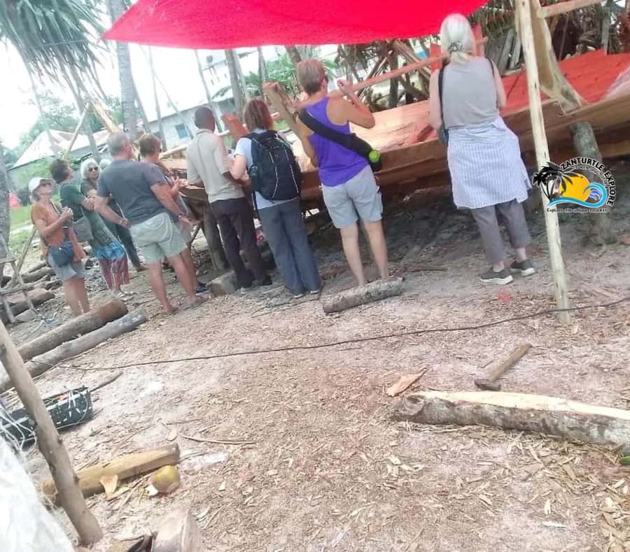 Nungwi Village Tour & Swim with Turtles at Mnarani Aquarium - Who will enjoy this Nungwi outing