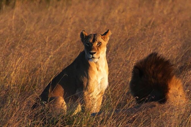 Off the Beaten Track Safari in Arusha Tanzania - Crossing to the Serengeti through Olduvai Gorge