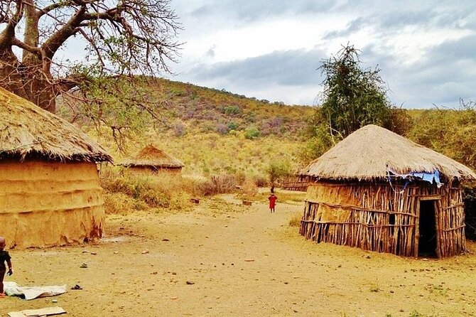 Off the Beaten Track Safari in Arusha Tanzania - Two nights in Serengeti National Park
