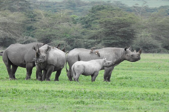 Off the Beaten Track Safari in Arusha Tanzania - Tarangire’s dry-season elephant country