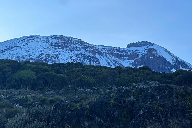 One Kilimanjaro Day hike Tour ISMANI TOURS AND SAFARIS - Key points at a glance