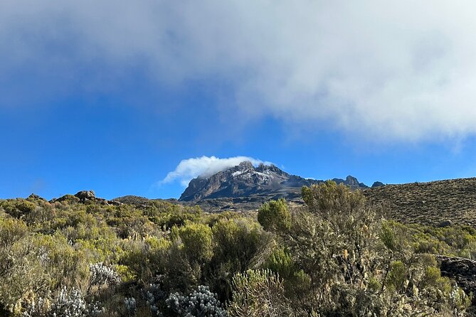 One Kilimanjaro Day hike Tour ISMANI TOURS AND SAFARIS - The guide can make or break the day