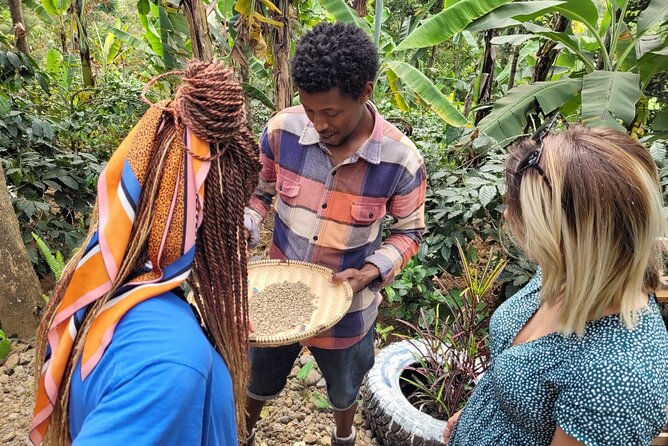 Organic Coffee Tour and Local Food Experience in Arusha - A private tour with a personal family feel