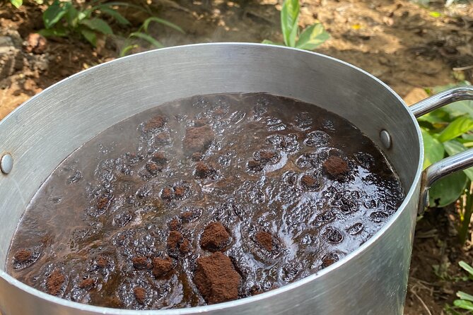 Organic Coffee Tour and Local Food Experience in Arusha - The $45 price and the transport question