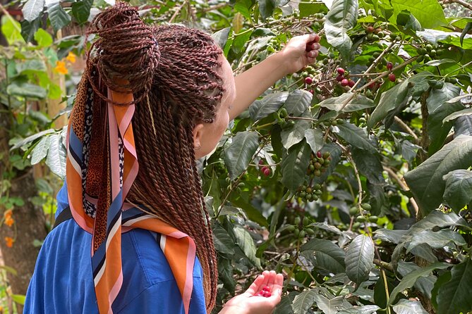 Organic Coffee Tour and Local Food Experience in Arusha - Booking, cancellation, and practical planning