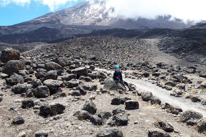 Our Top 5-Day Kilimanjaro Marangu Route: 2025 and 2026 Updates - Guide support, group size, and the human side