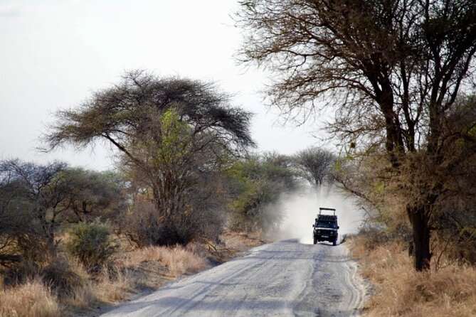 Outstanding day trip to Tarangire National Park - What you can expect inside Tarangire National Park