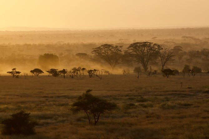 Outstanding day trip to Tarangire National Park - Wildlife viewing and photography