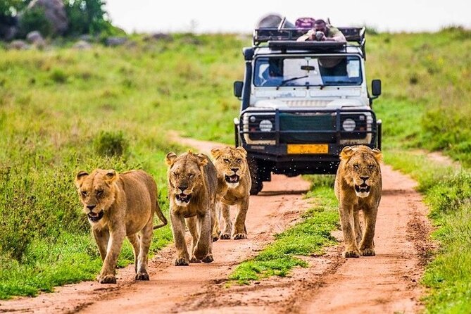 Outstanding day trip to Tarangire National Park - The 6:00 am departure from Arusha