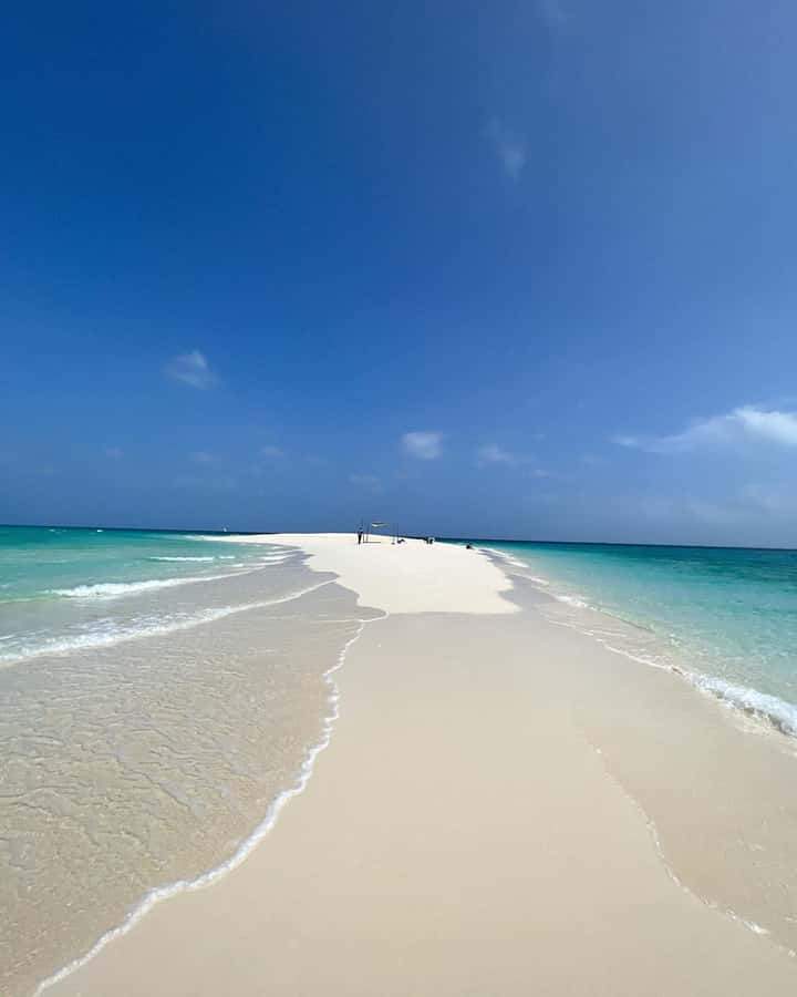Prison island and nakupenda beach sandbank - Is $150 per person a fair price?