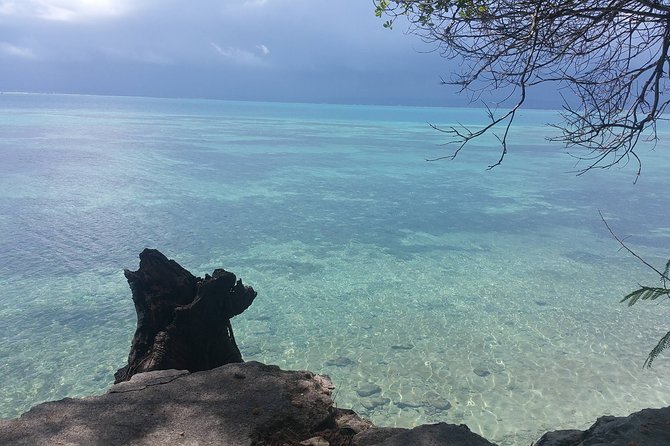 Prison Island Half-Day Tour from Zanzibar - Swimming, snorkeling, and beach time