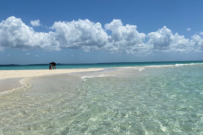 Prison Island + Nakupenda Tour - Who will enjoy this private island day