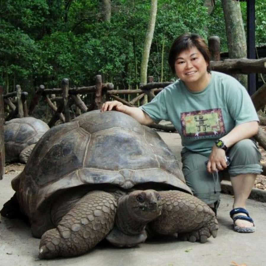 Prison Island, Sea Turtles, Rock Restaurant & Relax in Beach - Prison Island starts the day with tortoises and old stone walls