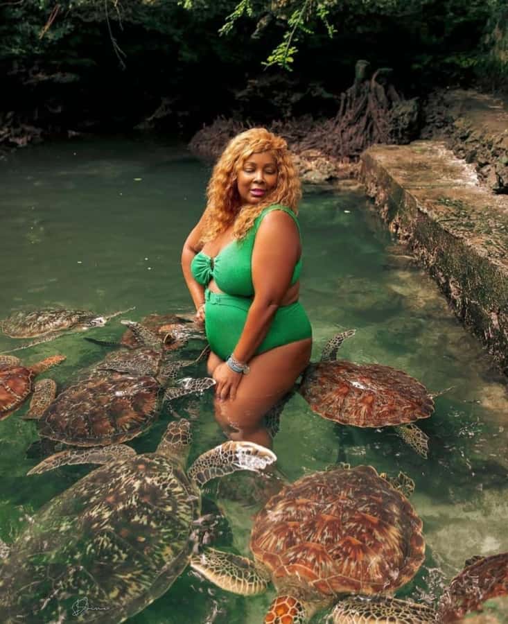 Prison Island, Sea Turtles, Rock Restaurant & Relax in Beach - Salaam Cave offers a quiet swim with rescued sea turtles