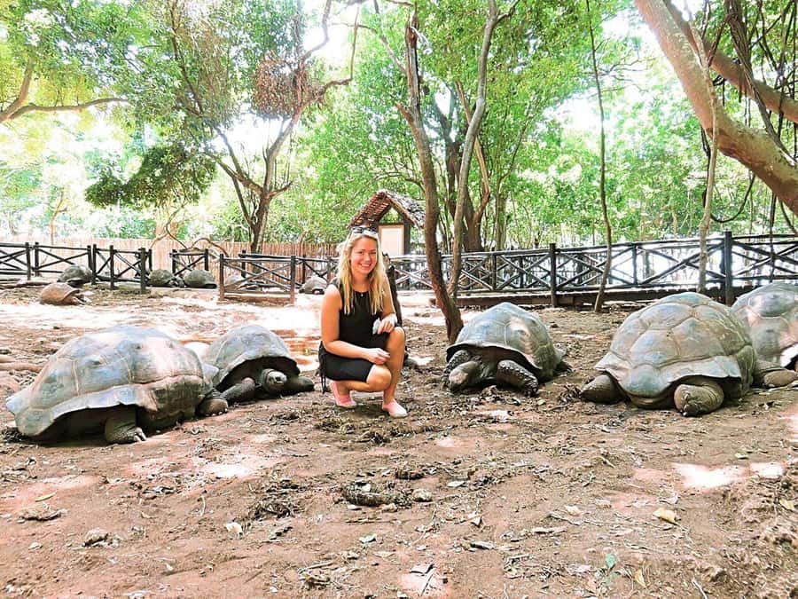 Prison Island, Sea Turtles, Rock Restaurant & Relax in Beach - What the guide adds to the day