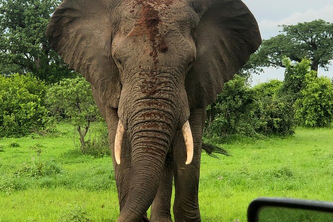 Private 3 Days 2 Nights Mikumi Adventures - Day 1: the road from Dar es Salaam to Mikumi