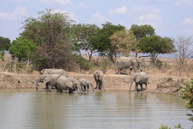Private 3 Days 2 Nights Mikumi Adventures - Day 3: returning to Dar es Salaam