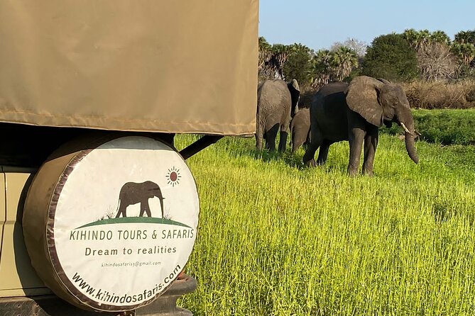 Private 3 Days 2 Nights Mikumi Adventures - What private touring changes
