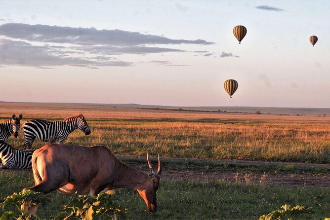 Private 4-Days Northern Circuit National Parks in Tanzania - Day 4: Ngorongoro Crater and the return to Usa River