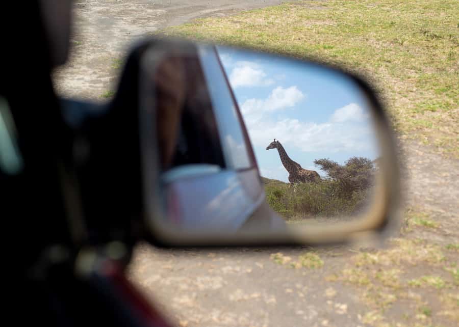 Private 4x4 Vitara Safari in Arusha National Park - Momella Lakes and the first wildlife views