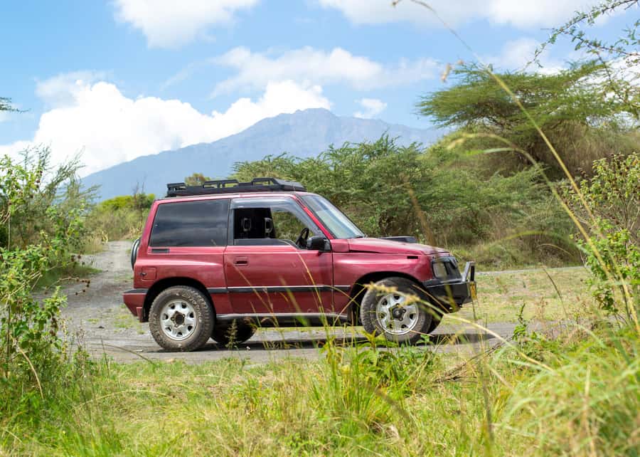 Private 4x4 Vitara Safari in Arusha National Park - What the $245 price really buys you