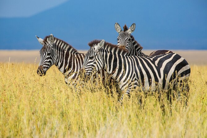 Private 5-Days Serengeti Trails with Kojuu Safaris - What the $2,000 price covers