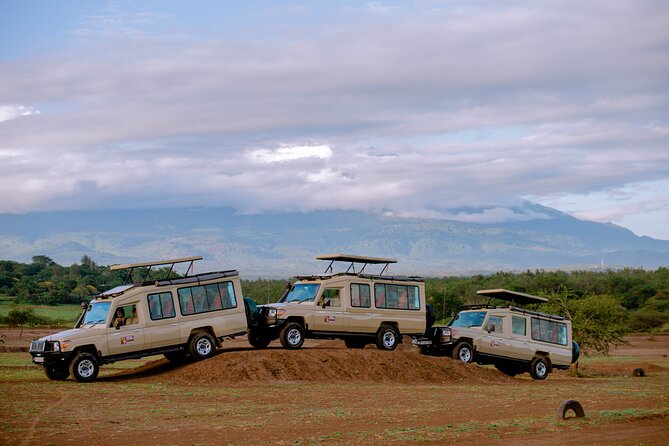 Private 5-Days Serengeti Trails with Kojuu Safaris - Comfort, food, and the private setup