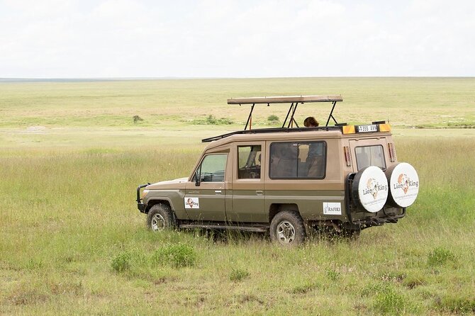Private 6-Day Great Migration Ndutu Serengeti Safari Tour - What the private setup changes