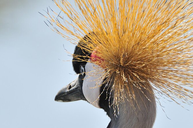 Private 6-Day Great Migration Ndutu Serengeti Safari Tour - Is $2,827 per person good value?
