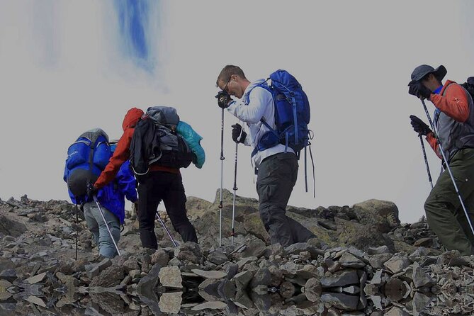 Private 6-Day Kilimanjaro Climbing via Machame route from Arusha - Day 2: Leaving the trees for Shira