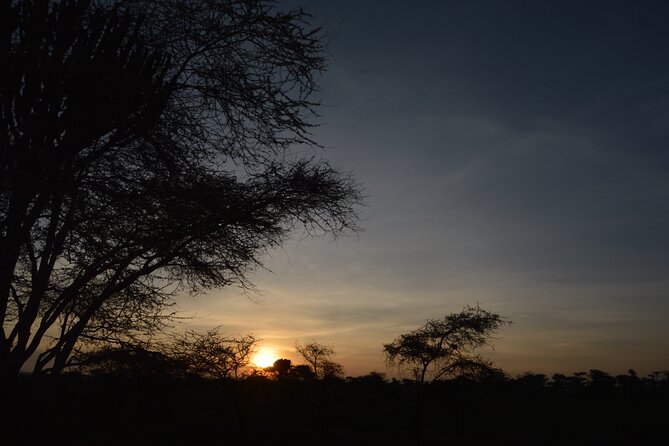 Private 7-Day Tanzania Camping Safari - Guide quality matters more than the vehicle