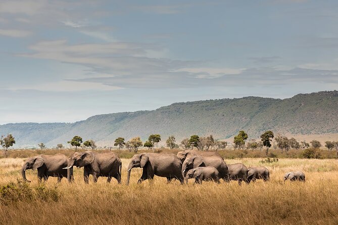 Private 7 Days Classic Safari Tour in Tanzania - What this seven-day route does well
