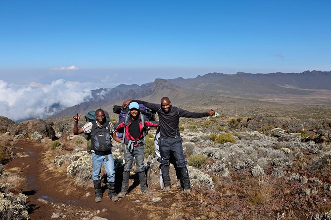 Private 8 day Northern Circuit Kilimanjaro Climb - Why the Northern Circuit is worth the extra days